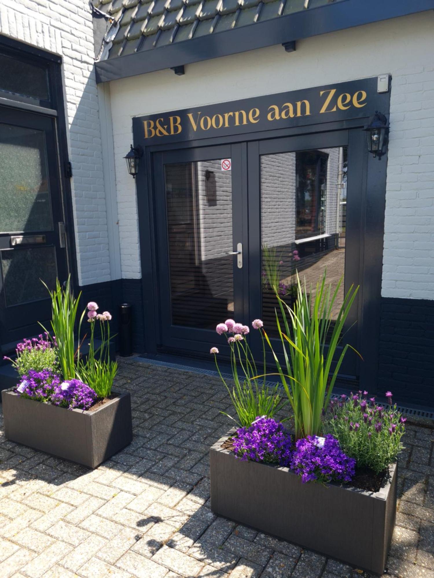 B&B Voorne Aan Zee Rockanje Exterior photo